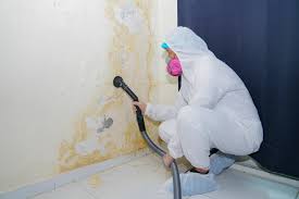 Best Commercial Mold Inspection in Perryville, MO